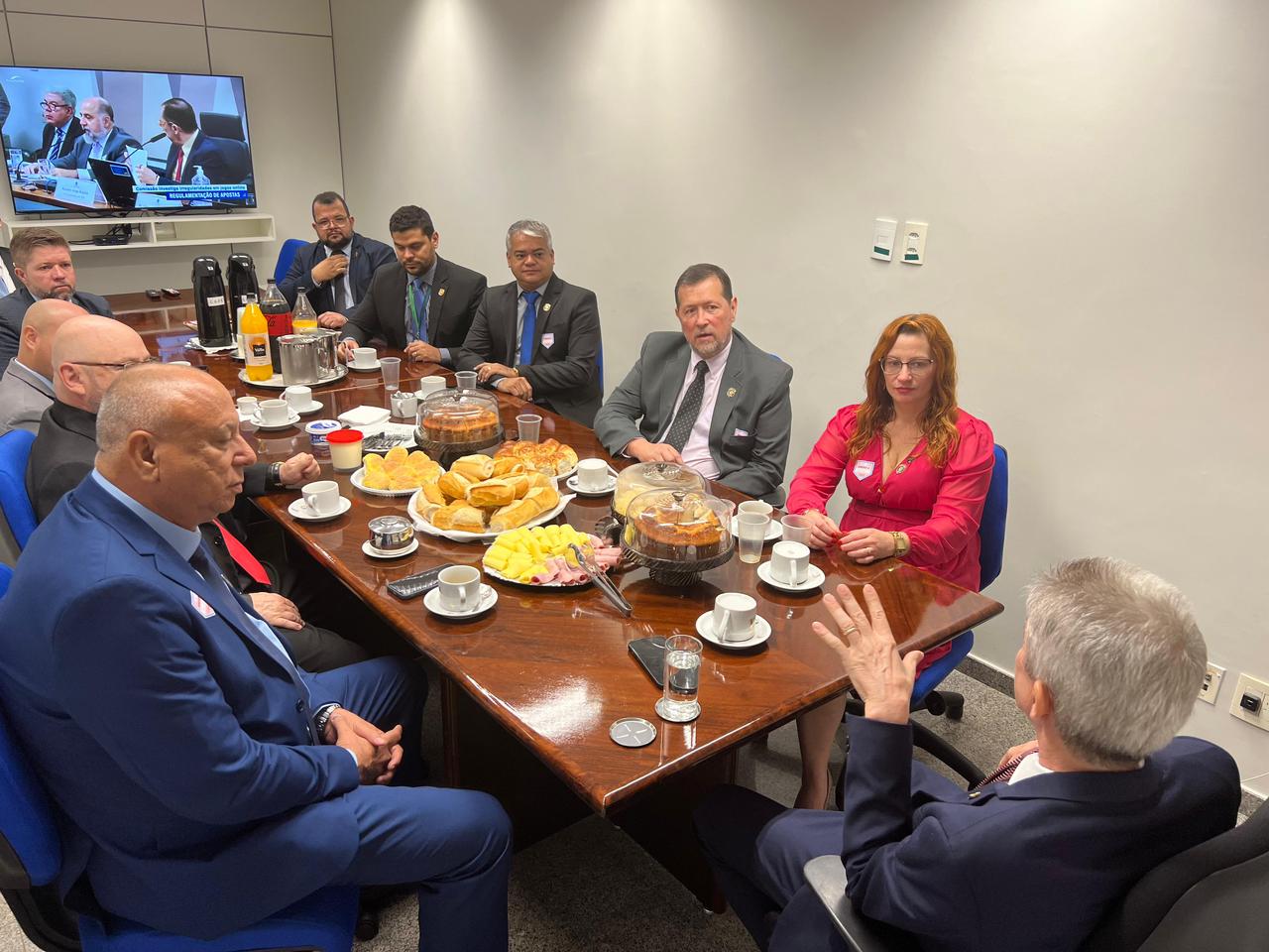 Sindpol/MG em Brasília, no Senado, para a votação da Lei Orgânica Nacional das Policias Civis